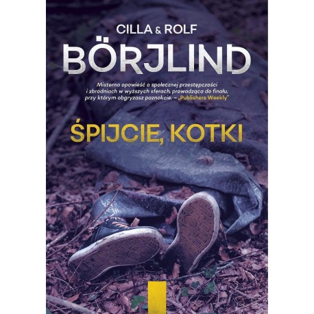 Śpijcie kotki Cilla i Rolf Börjlindowie motyleksiazkowe.pl