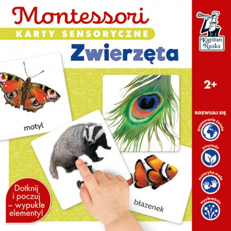 Montessori Karty sensoryczne Zwierzęta Katarzyna Dołhun motyleksiazkowe.pl