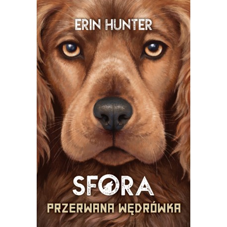 Sfora Tom 4 Przerwana wędrówka Erin Hunter motyleksiazkowe.pl