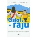 Osioł w raju