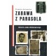 Zabawa z Parasola Historia Janka Wróblewskiego motyleksiazkowe.pl