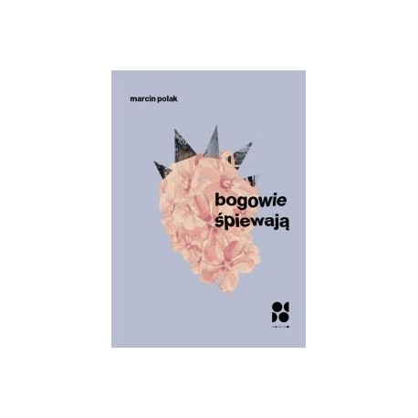 Bogowie śpiewają Marcin Polak motyleksiazkowe.pl