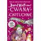 Cwana ciotuchna David Walliams motyleksiazkowe.pl