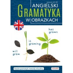 Angielski Gramatyka w obrazkach motyleksiązkowe.pl