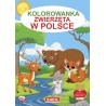 Kolorowanka Zwierzęta w Polsce