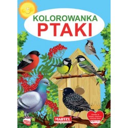 Kolorowanka Ptaki motyleksiązkowe.pl