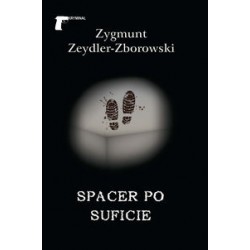 Spacer po suficie Zygmunt Zeydler-Zborowski motyleksiążkowe.pl