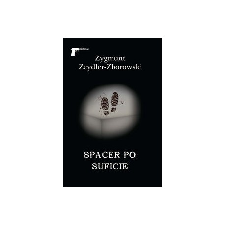 Spacer po suficie Zygmunt Zeydler-Zborowski motyleksiążkowe.pl