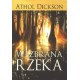 Wezbrana rzeka