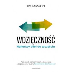 Wdzięczność Najtańszy bilet do szczęścia Liv Larsson motyleksiążkowe.pl
