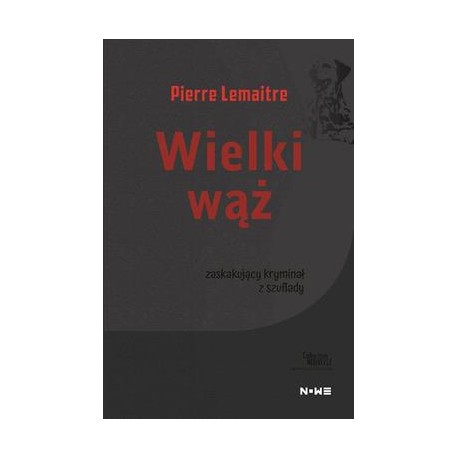 Wielki wąż Pierre Lemaitre motyleksiązkowe.pl