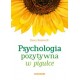 Psychologia pozytywna w pigułce Ilona Boniwell motyleksiążkowe.pl