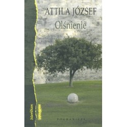 Olśnienie Attila József motyleksiązkowe.pl