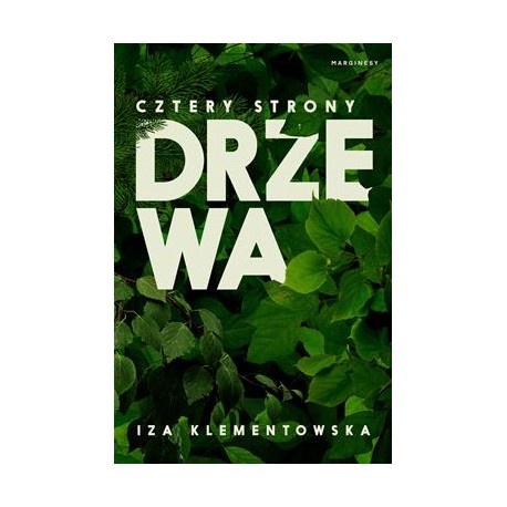 Cztery strony drzewa Iza Klementowska motyleksiązkowe.pl