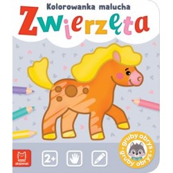 Zwierzęta Kolorowanka malucha motyleksiązkowe.pl