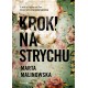 Kroki na strychu Marta Malinowska motyleksiążkowe.pl