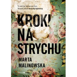 Kroki na strychu Marta Malinowska motyleksiążkowe.pl
