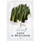 Lato w Mrocznem