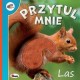 Przytul mnie Las motyleksiązkowe.pl