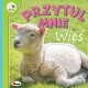 Przytul mnie Wieś motyleksiążkowe.pl