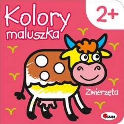 Kolory maluszka Zwierzęta motyleksiązkowe.pl