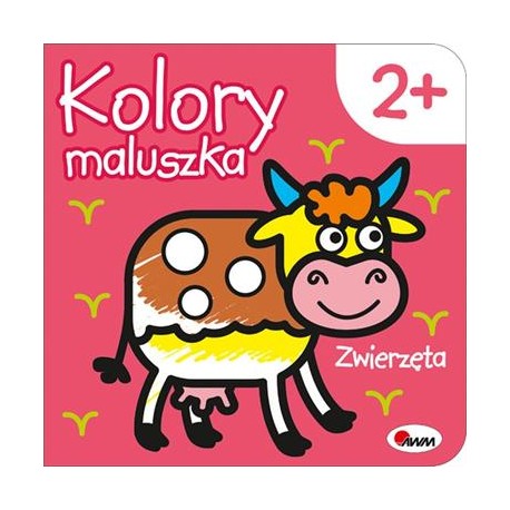 Kolory maluszka Zwierzęta motyleksiązkowe.pl