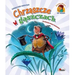 Chrząszcze w gąszczach Katarzyna Vanevska motyleksiązkowe.pl