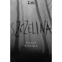 Szczelina Józef Karika motyleksiążkowe.pl