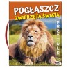 Pogłaszcz Zwierzęta Świata Przytulki