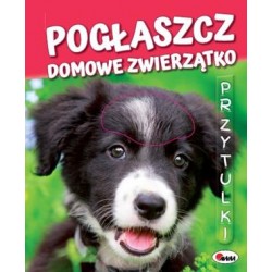 Pogłaszcz Domowe Zwierzątko Przytulki motyleksiązkowe.pl