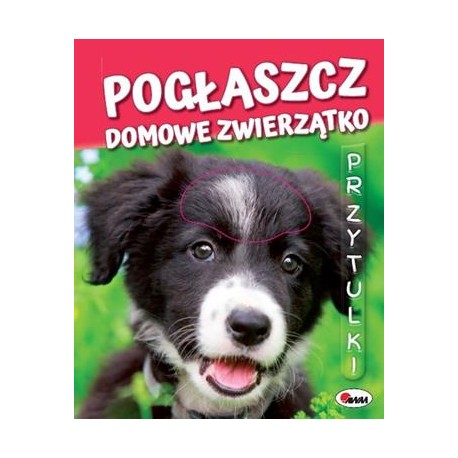 Pogłaszcz Domowe Zwierzątko Przytulki motyleksiązkowe.pl