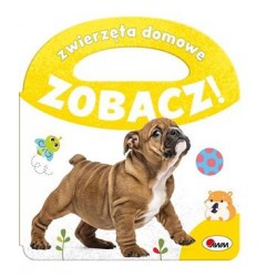 Zobacz Zwierzęta domowe motyleksiązkowe.pl
