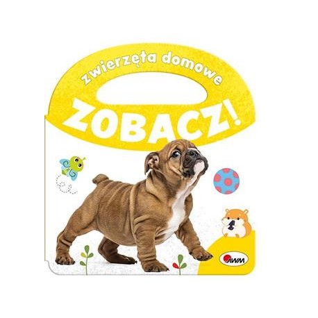 Zobacz Zwierzęta domowe motyleksiązkowe.pl