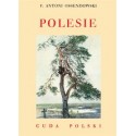 Polesie /Cuda Polski