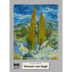 Vincent van Gogh /Malarstwo światowe Agnieszka Widacka-Bisaga motyleksiążkowe.pl