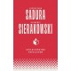 Społeczeństwo populistów Przemysław Sadura Sławomir Sierakowski motyleksiążkowe.pl