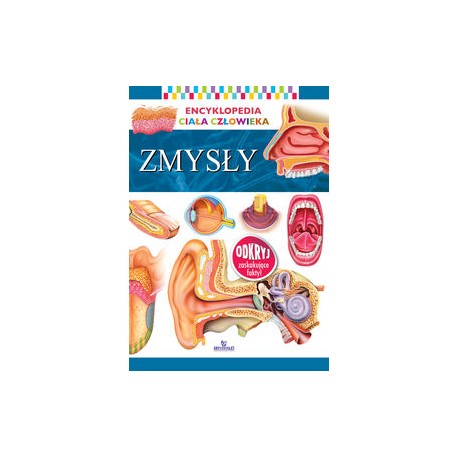 Encyklopedia ciała człowieka Zmysły motyleksiązkowe.pl