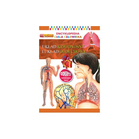 Encyklopedia ciała człowieka Układ krążenia i układ oddechowy motyleksiążkowe.pl