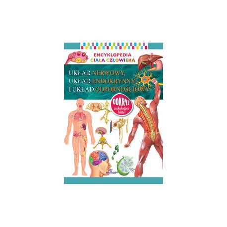Encyklopedia ciała człowieka Układ nerwowy, układ endokrynny i układ odpornościowy motyleksiązkowe.pl
