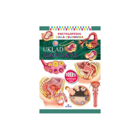 Encyklopedia ciała człowieka Układ rozrodczy motyleksiązkowe.pl