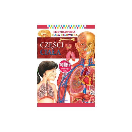 Encyklopedia ciała człowieka Części ciała motyleksiążkowe.pl