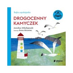 Drogocenny kamyczek Bajka uspokajanka Jarosław Mikołajewski Anna Mrowiec motyleksiązkowe.pl