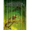 Poszukiwacze z drzewoświata