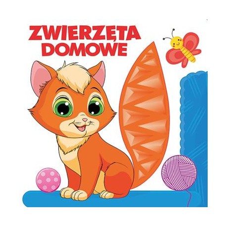 Zwierzęta domowe motyleksiązkowe.pl
