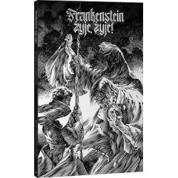 Frankenstein żyje, żyje! Niles Wrightson jones motyleksiążkowe.pl