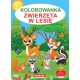 Kolorowanka Zwierzęta w lesie motyleksiązkowe.pl