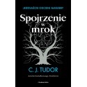 Spojrzenie w mrokJ edenaście odcieni makabry