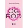 Ogród