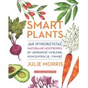 Smart Plants. Jak wykorzystać naturalne nootropiki, by usprawnić myślenie, koncentrację i pamięć