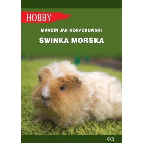 ŚWINKA MORSKA Marcin Jan Gorazdowski motyleksiazkowe.pl